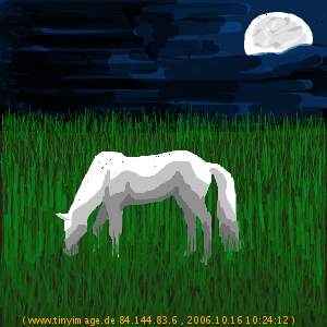 Pferde malen - Pferd auf Koppel mit Mond von 2006